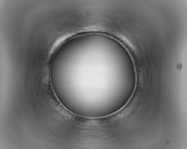 X0000091661358200709061011