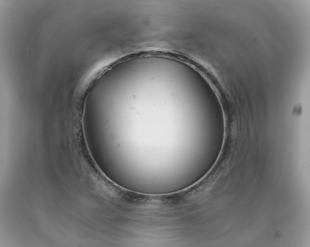 X0000091661359200709061011