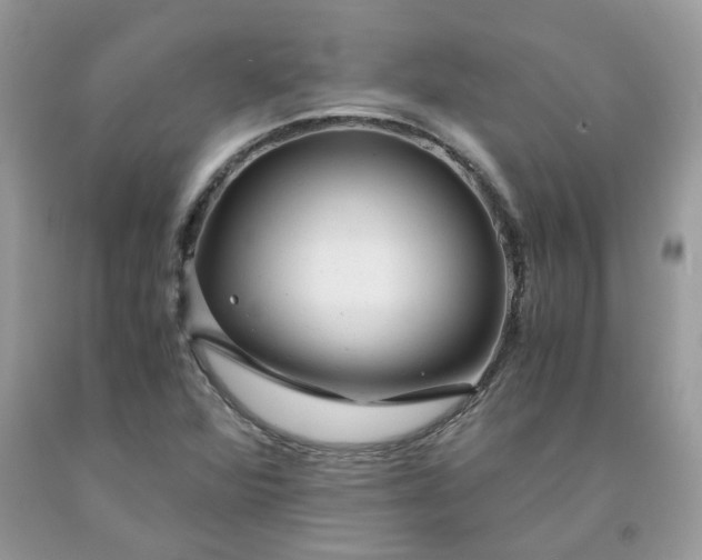 X0000091661360200709061011