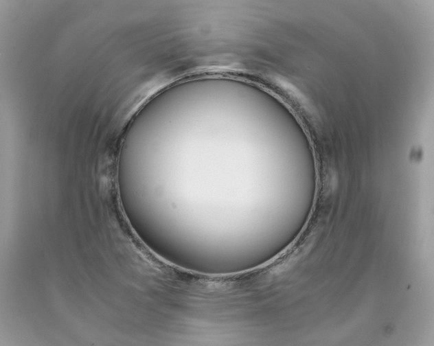 X0000091661361200709061011