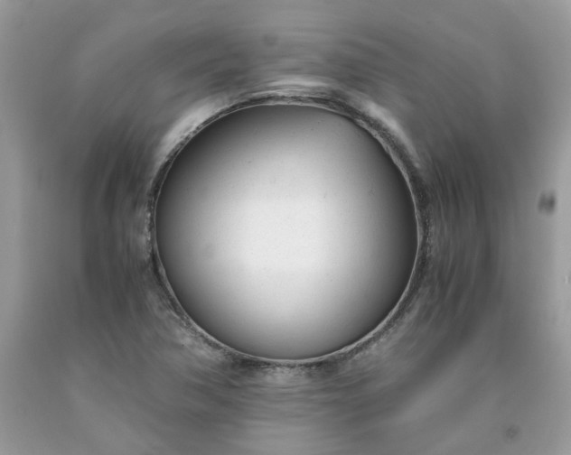 X0000091661362200709061011