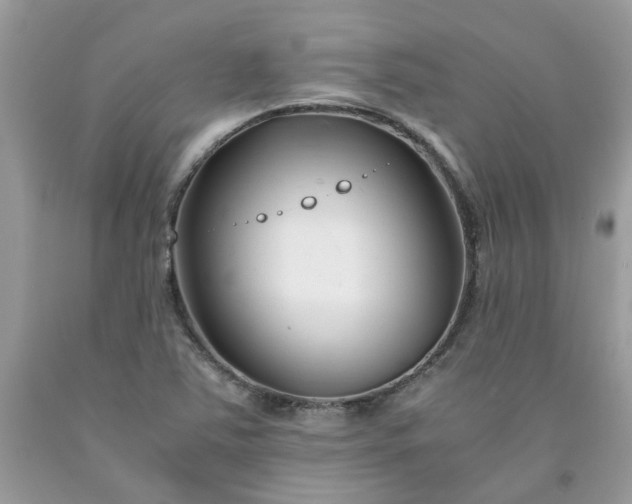 X0000091661363200709061011