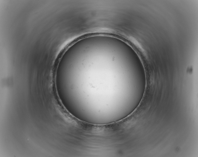 X0000091661364200709061011