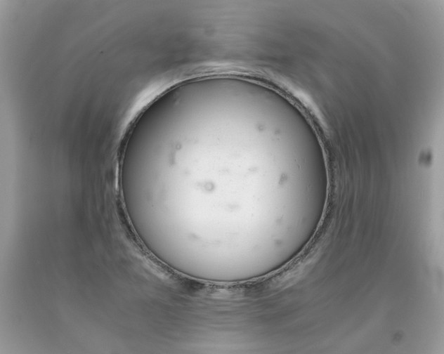 X0000091661365200709061011