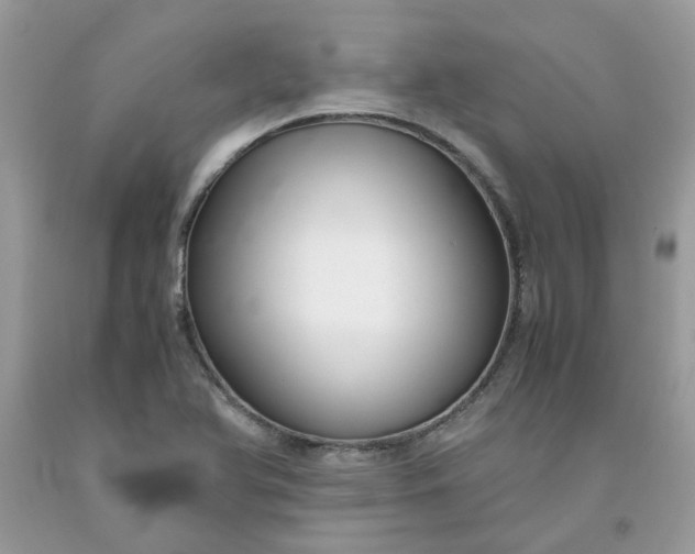 X0000091661366200709061011