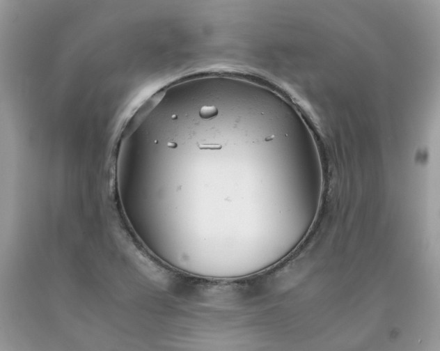 X0000091661367200709061011