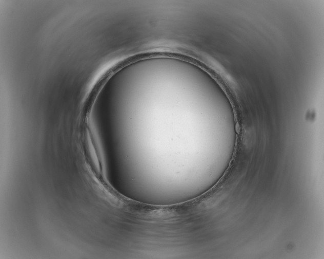 X0000091661368200709061011