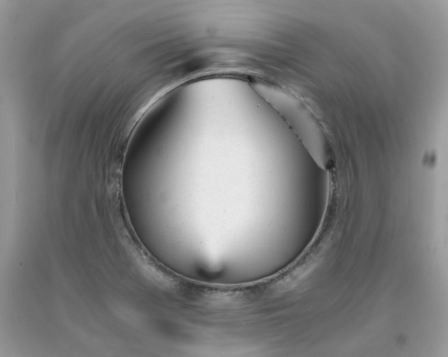 X0000091661369200709061011