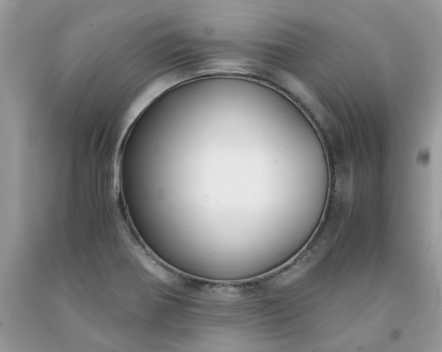 X0000091661370200709061011