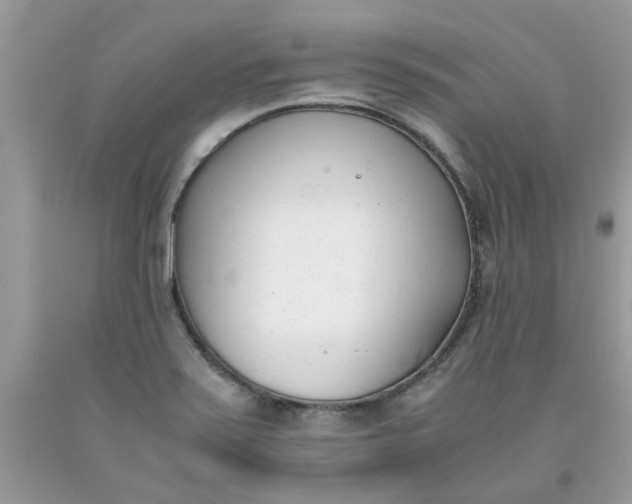 X0000091661371200709061011