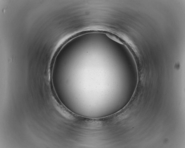 X0000091661372200709061011