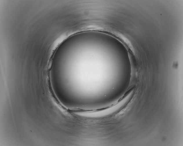 X0000091661373200709061011