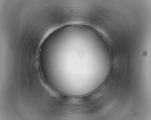 X0000091661374200709061011