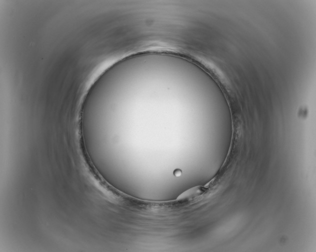 X0000091661375200709061011