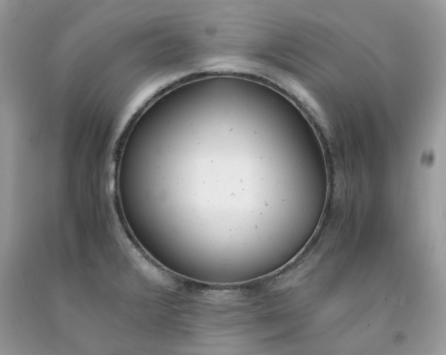 X0000091661376200709061011