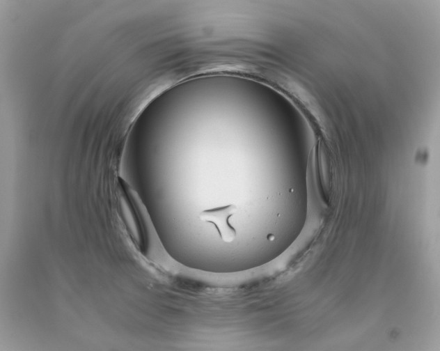 X0000091661377200709061011