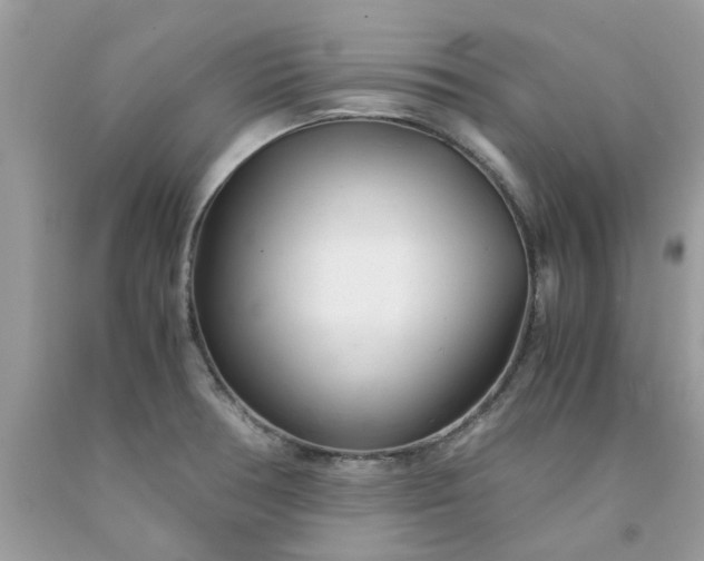 X0000091661378200709061011