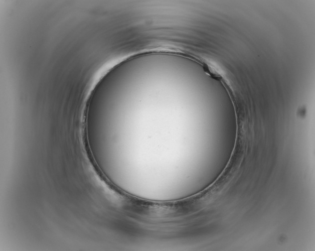 X0000091661379200709061011