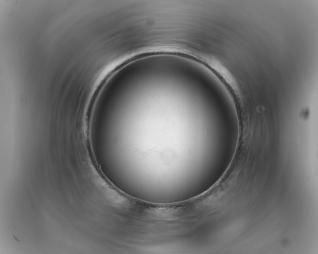 X0000091661380200709061011