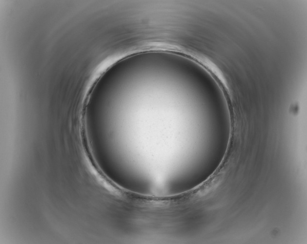 X0000091661381200709061011