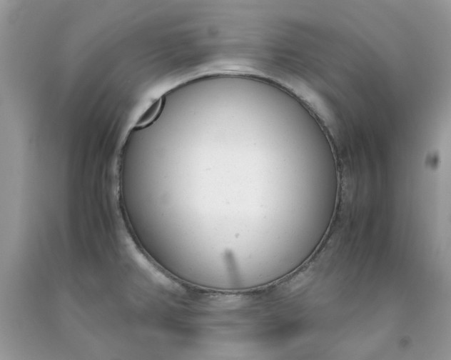 X0000091661382200709061011