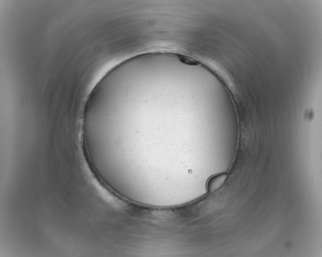 X0000091661383200709061011