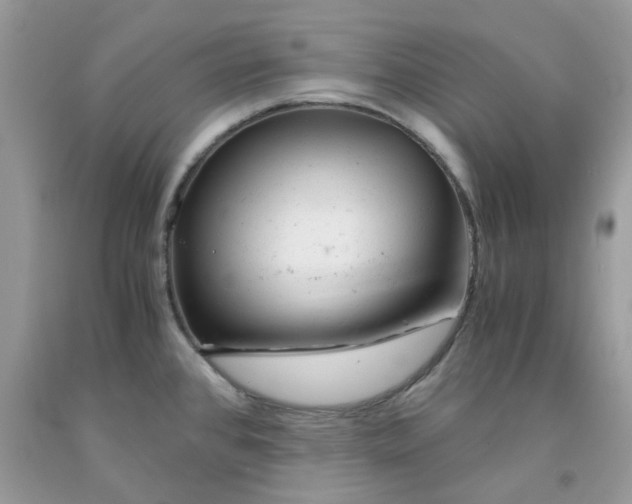 X0000091661384200709061011