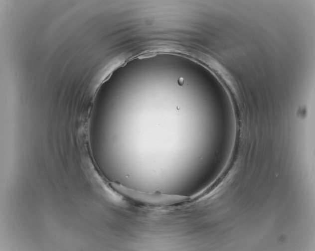 X0000091661385200709061011