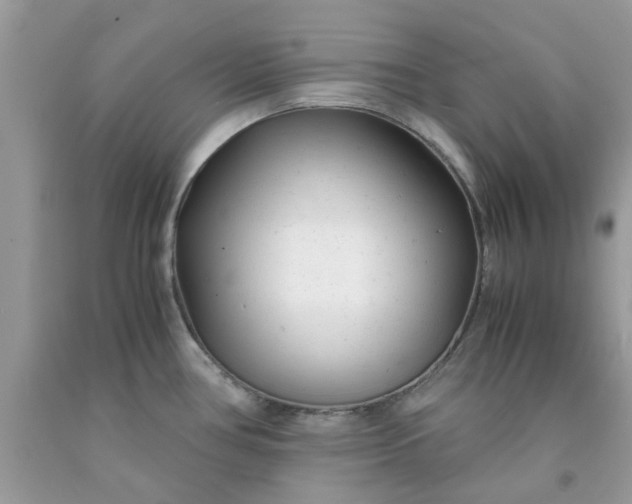 X0000091661386200709061011