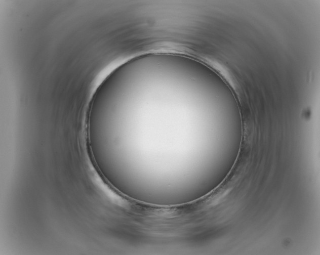 X0000091661387200709061011