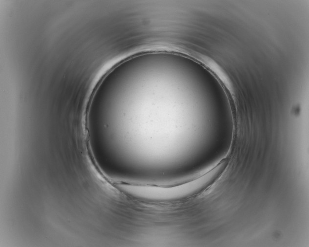 X0000091661388200709061011