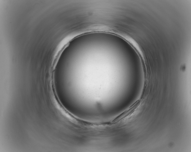 X0000091661389200709061011