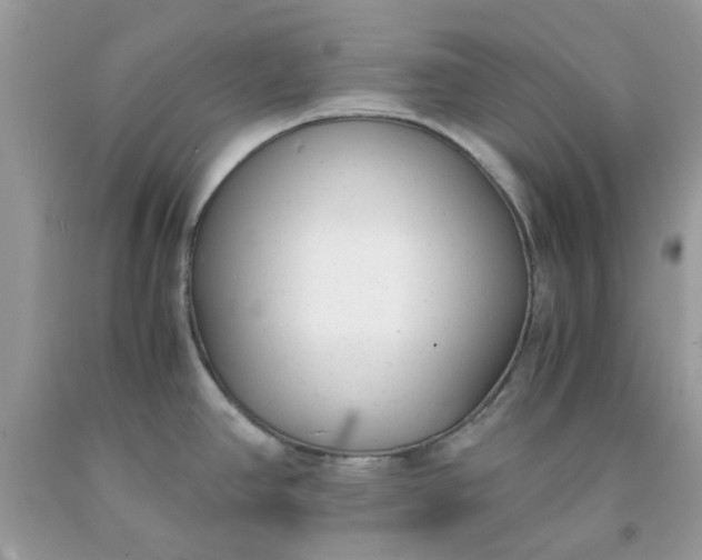 X0000091661390200709061011