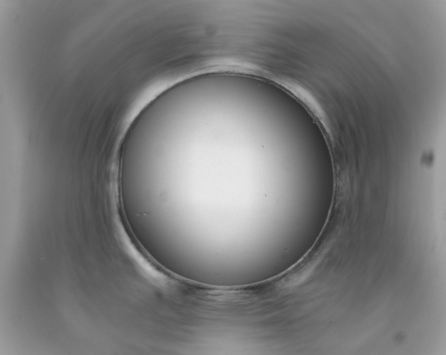 X0000091661391200709061011