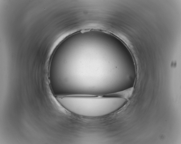 X0000091661392200709061011