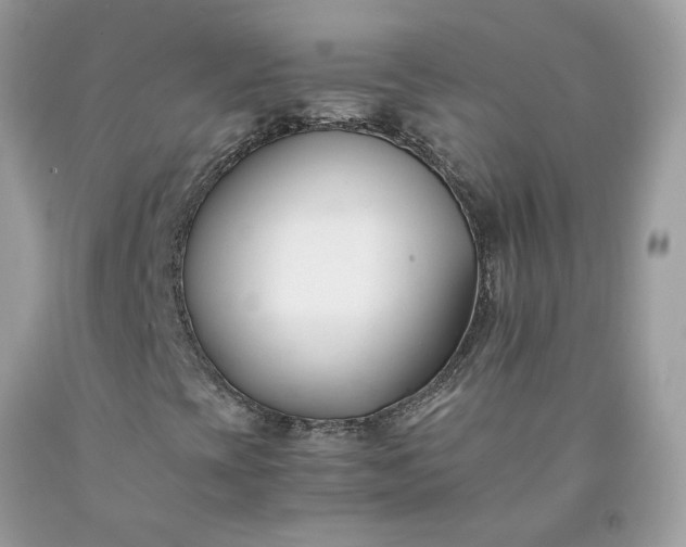 X0000091661393200709061010