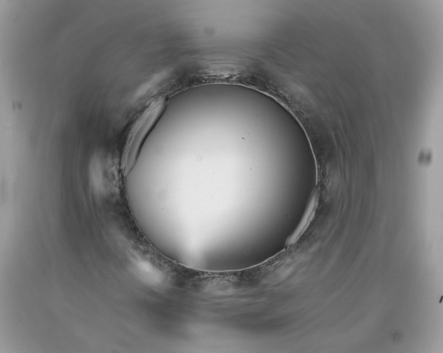 X0000091661394200709061010