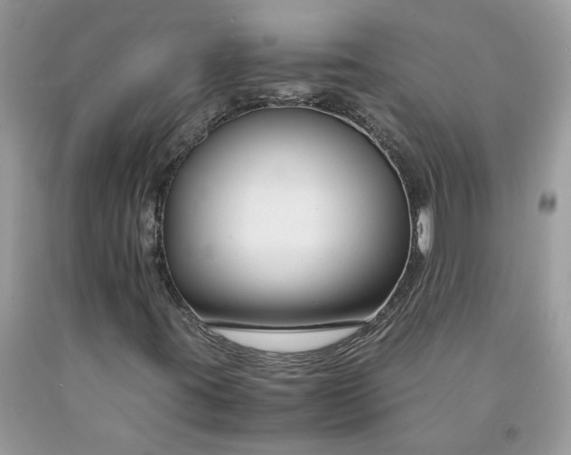 X0000091661395200709061010