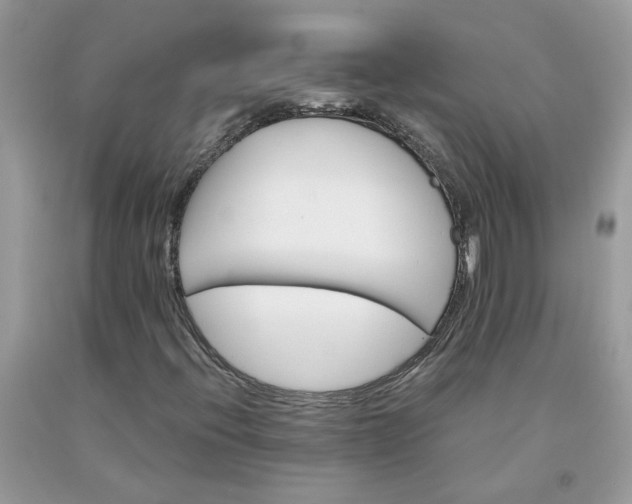 X0000091661396200709061010