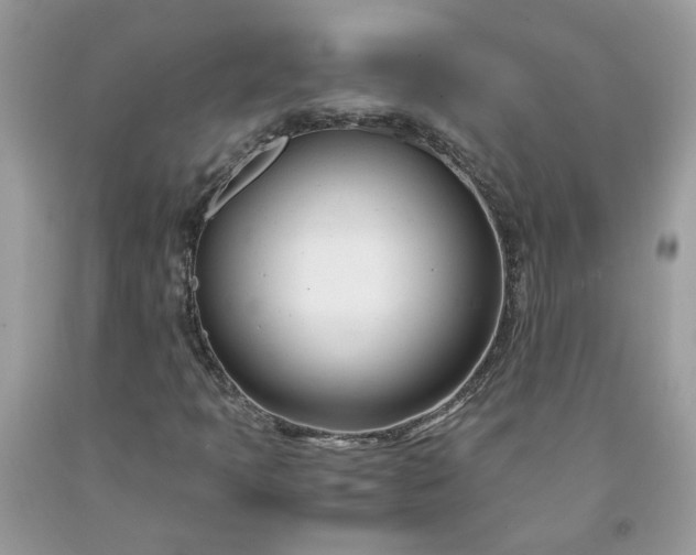 X0000091661397200709061010