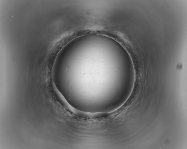 X0000091661398200709061010