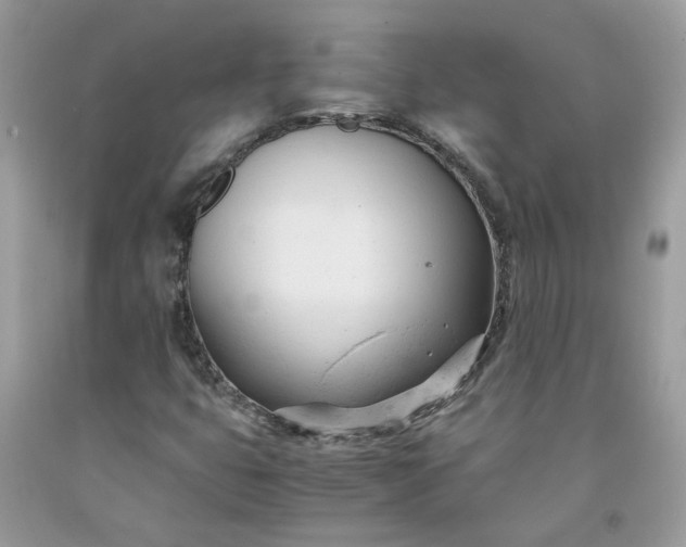 X0000091661399200709061010