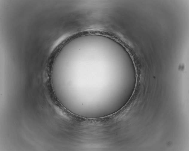 X0000091661400200709061010