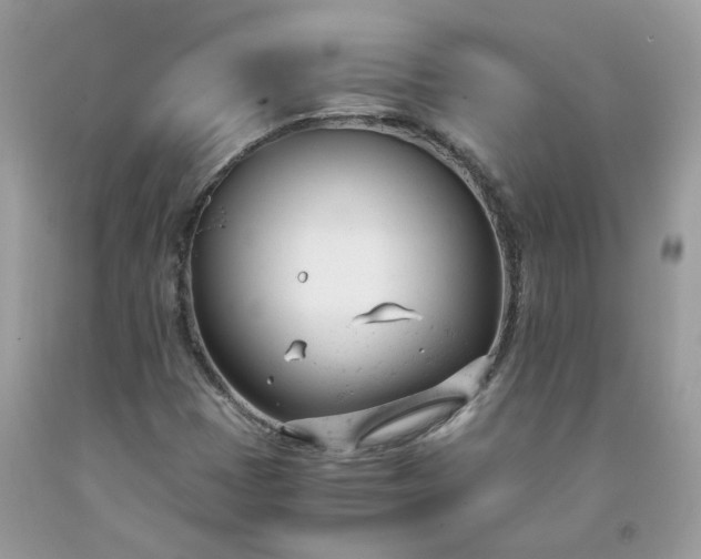 X0000091661401200709061010