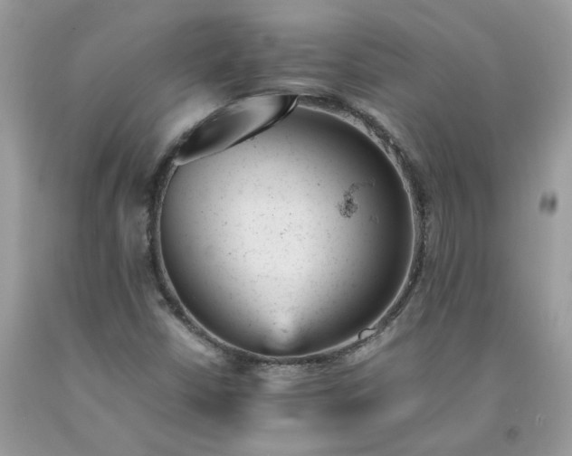 X0000091661402200709061010