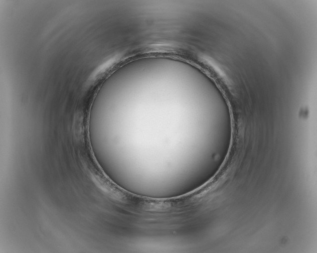 X0000091661403200709061010