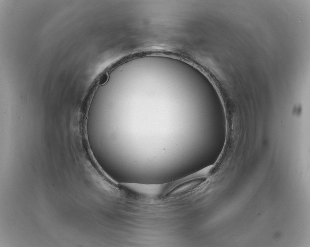 X0000091661404200709061010