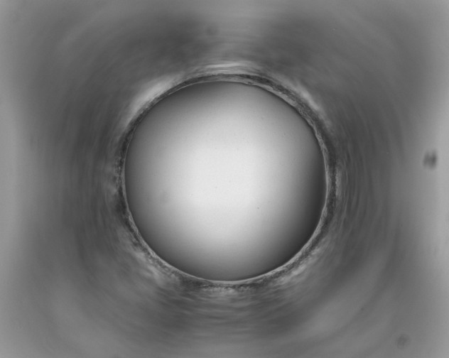 X0000091661405200709061010