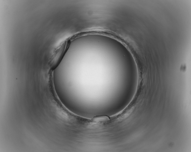 X0000091661406200709061010