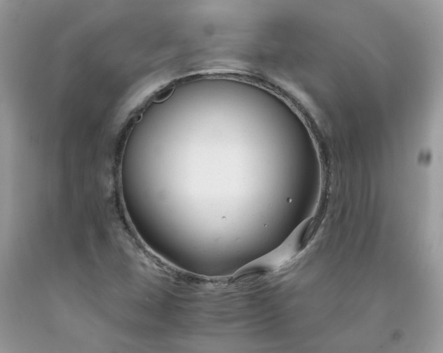 X0000091661407200709061010